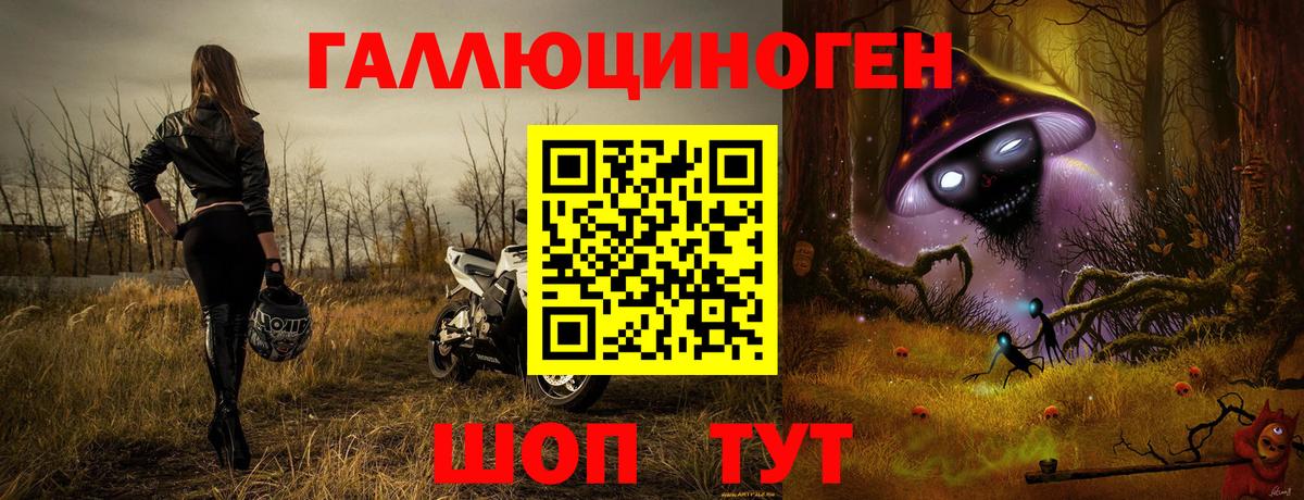 Россошь  Псилоцибиновые грибы Psilocybine cubensis  Галлюциногенные грибы Psilocybine cubensis  Вход с VPN 